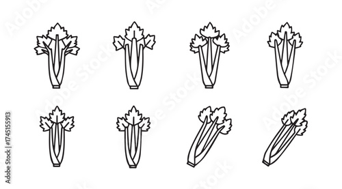 Fresh celery stalks hand drawn line art isolated on white food ingredient healthy eating vegetables vector