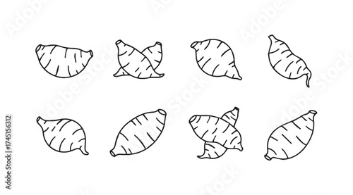 Hand drawn sweet potato pieces variety sketch simple organic root vegetable food ingredient illustration vector