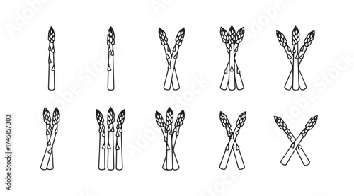 Hand drawn asparagus variety collection healthy food ingredient line art doodle style vector