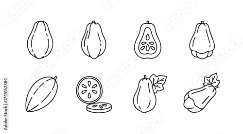 Hand drawn papaya fruit collection fresh tropical food ingredients sketch set vector