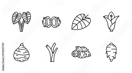 Hand-drawn tropical root vegetables and leaves collection for culinary and botanical designs vector
