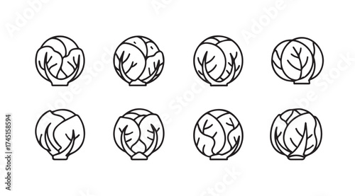 Eight hand drawn brussels sprouts rowed for food ingredient design and healthy eating vector