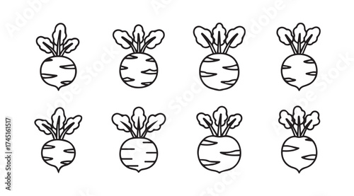 Set of eight hand-drawn radish icons simple sketch style organic root vegetable collection vector
