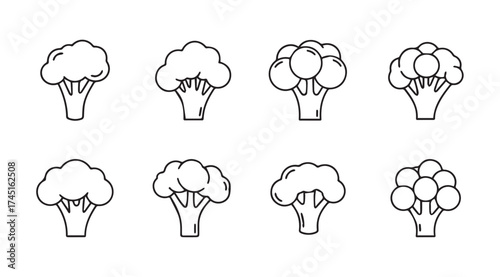 Hand drawn broccoli florets variety pack sketch collection fresh healthy food ingredient vector