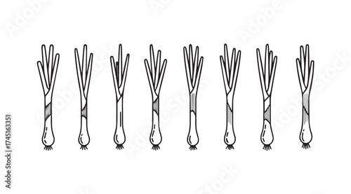 Fresh leeks grouped together isolated food ingredient for healthy eating and cooking vector