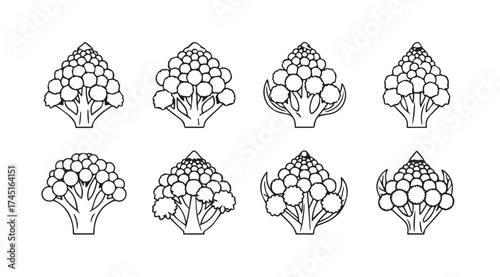 Set of eight hand drawn broccoli florets vegetable food illustration for healthy eating vector