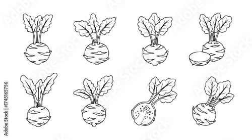 Artistic sketch of beets with greens collection fresh root vegetables organic produce healthy eating food vector