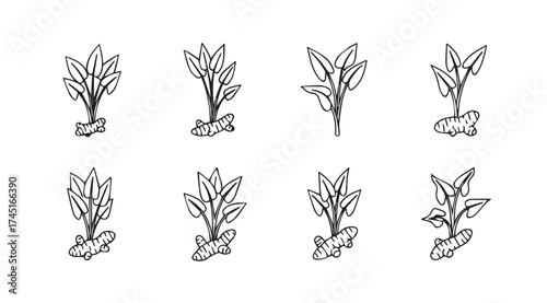Collection of hand drawn tea leaves sprouting from soil isolated on white for fresh beverage design vector