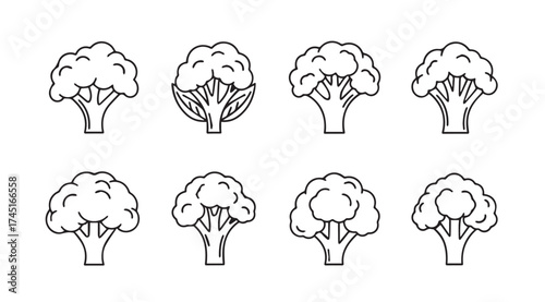 Set of eight detailed broccoli florets hand drawn sketch style organic vegetable collection vector