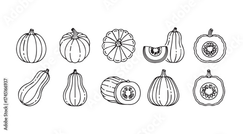 Hand drawn sketch collection of various pumpkins and gourds isolated on vector