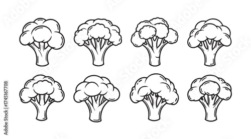 Collection of hand drawn broccoli florets isolated fresh healthy vegetable illustrations vector