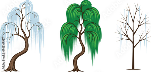 Winter tree illustration, spring willow tree, summer foliage art, autumn bare branches, seasonal tree design, nature artwork, botanical concept, landscape
