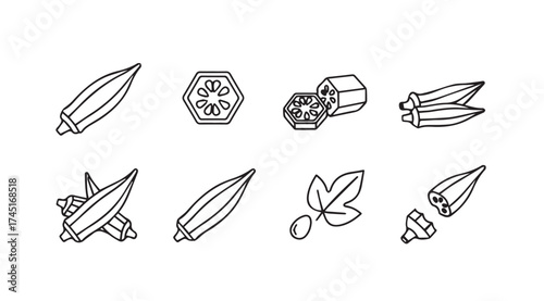 Hand-drawn okra pods and slices artistic sketch collection fresh organic vegetable ingredients vector