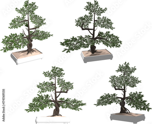 Vector sketch illustration of ornamental bonsai plant design for hobbyists, collectors, and plant lovers 