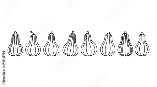 Hand drawn line art decorative gourds and pumpkins collection for autumn harvest seasonal decor vector