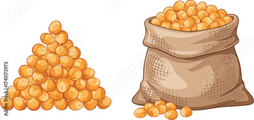 Fresh yellow soybeans in a burlap sack and heap, organic soybean harvest, natural protein food, agricultural product illustration