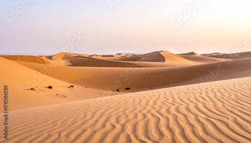 Fototapeta Naklejka Na Ścianę i Meble -  Golden Sand Dunes Landscape under Bright Sky at Sunset in Desert Area with Ripples and Warm Tones Wide Shot
