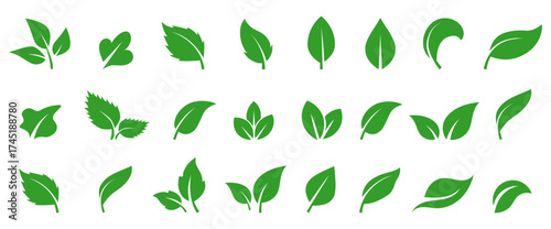 Collection of Green Leaf Icons and Symbols for Nature and Eco-Friendly Themes