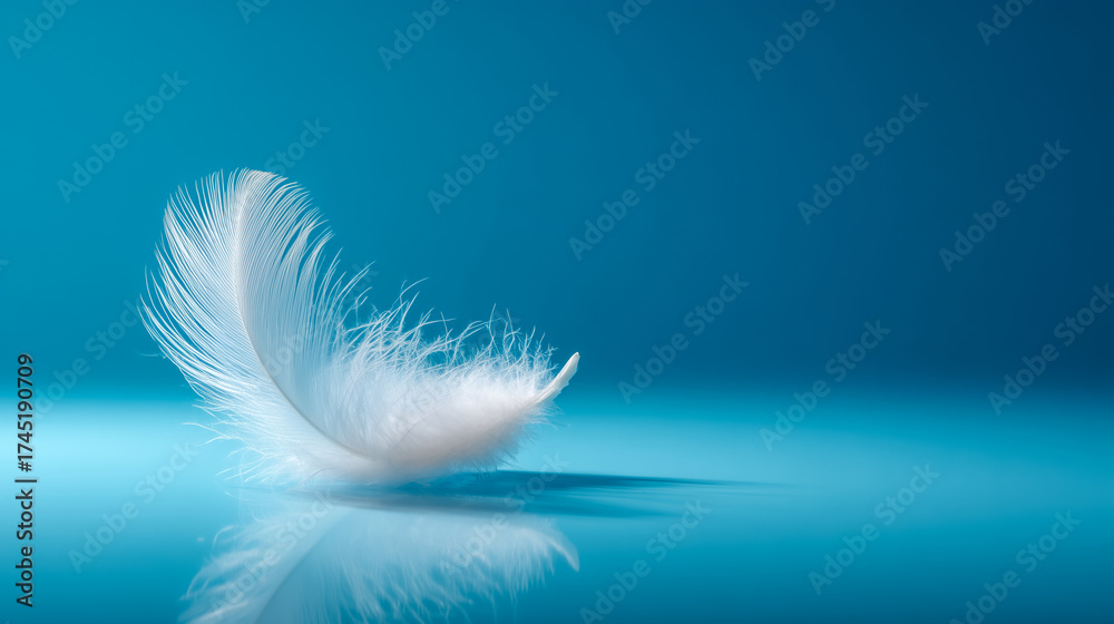 Fototapeta premium White Feather Floating on a Blue Background