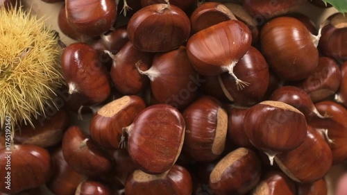 Freshly harvested chestnuts on a rotating table