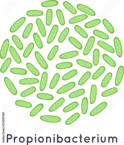 Propionibacterium bacteria colony microbiology science illustration