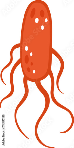 Cartoon red bacteria microorganism cell structure