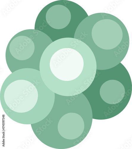 Green cell division process or cellular cluster forming