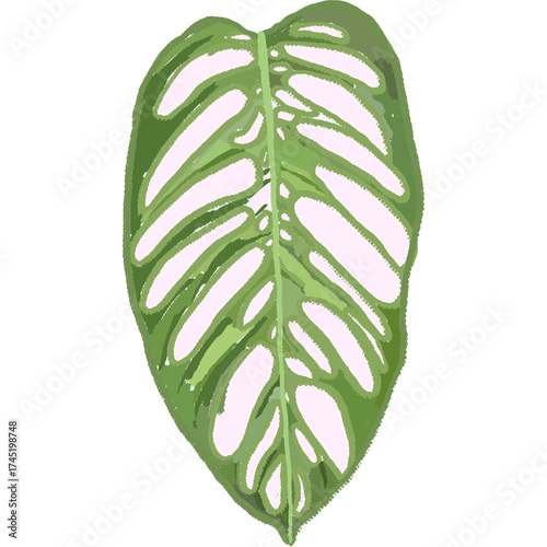 Hand drawing leaf plant illustrations unique 
