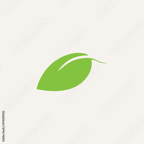 fresh green leaf icon flat logo