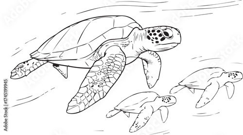 Detailed line art drawing of sea turtles swimming gracefully underwater surrounded by water ripples and bubbles