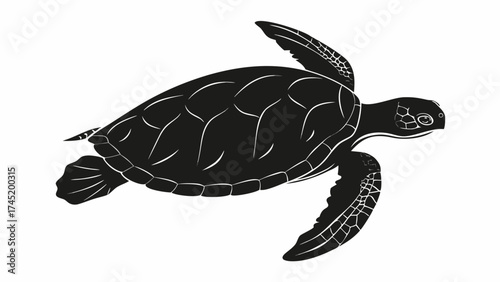 Elegant sea turtle swimming gracefully, simple black and white design for conservation projects