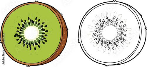 Cartoon kiwi fruit slice with seeds, green tropical snack illustration and black-and-white outline version, kids coloring book page vector