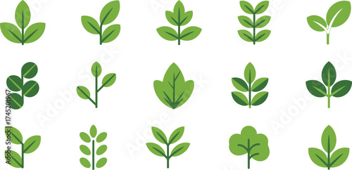 Collection of diverse green leafy branches and sprigs isolated on white