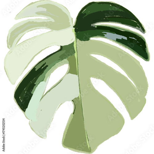 Hand drawing leaf plant illustrations unique 