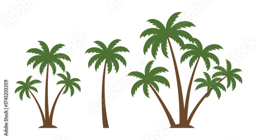 A collection of various sized palm trees against a plain white background