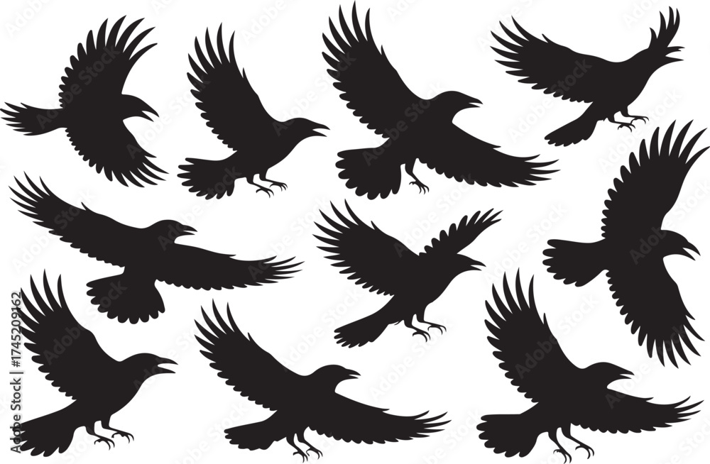 Fototapeta premium Collection of black silhouette flying birds in various dynamic poses
