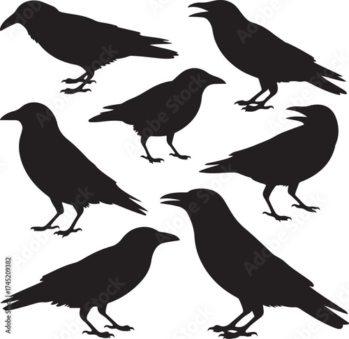 Collection of black silhouette crows standing on white background