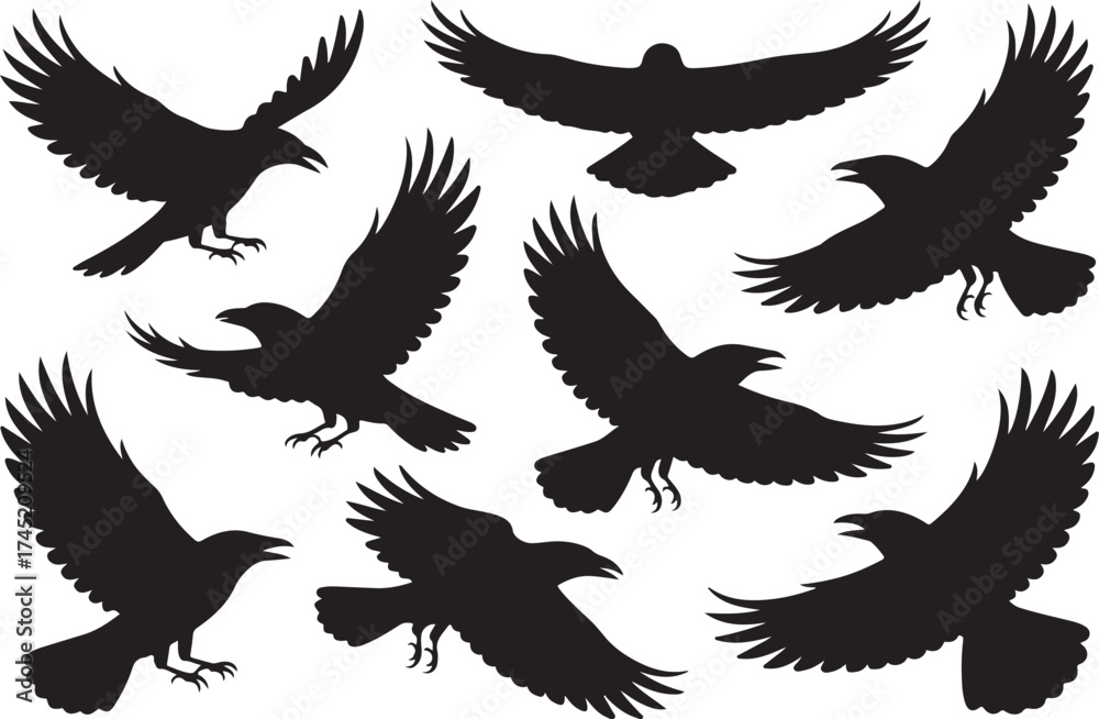 Obraz premium Collection of black bird silhouettes in various flying poses against white background