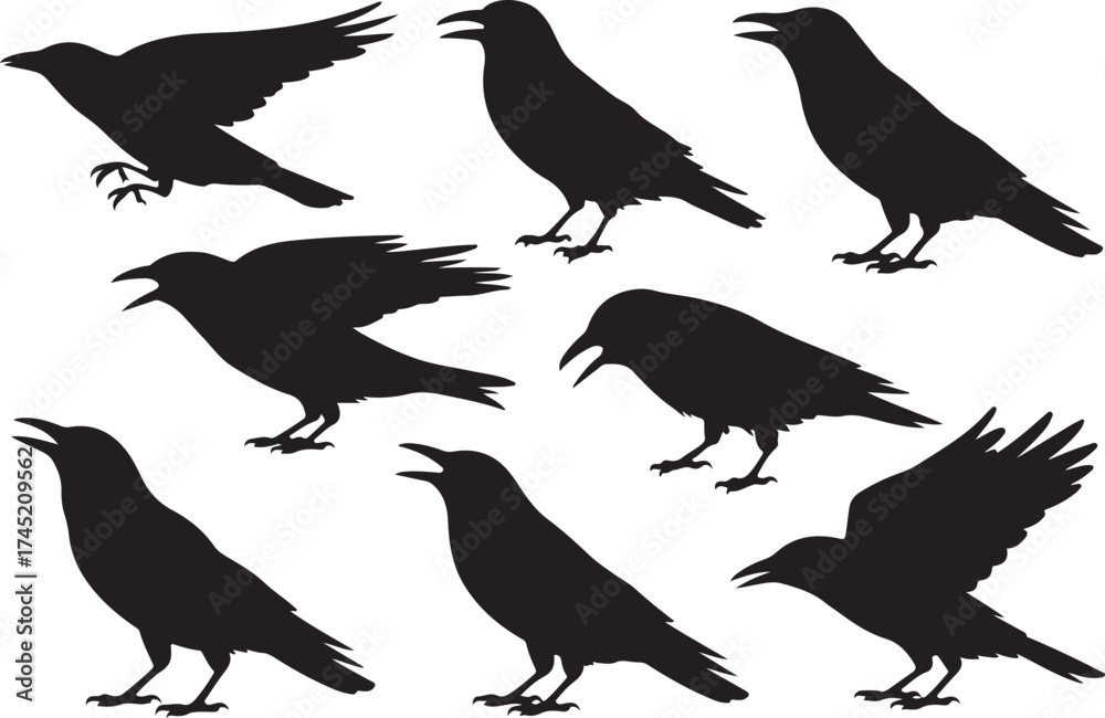 Obraz premium Collection of silhouetted crows in various poses against a white background
