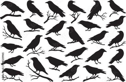 Collection of silhouetted crows and ravens perched on branches and standing