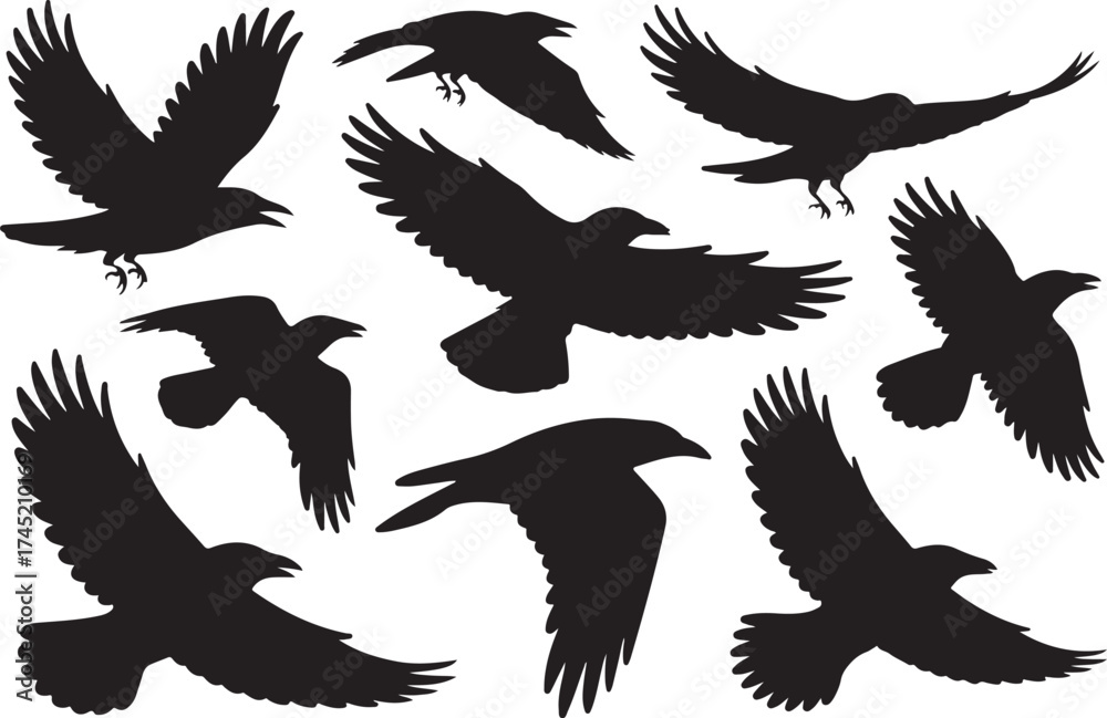 Obraz premium Collection of silhouetted crows and ravens in flight against a white background