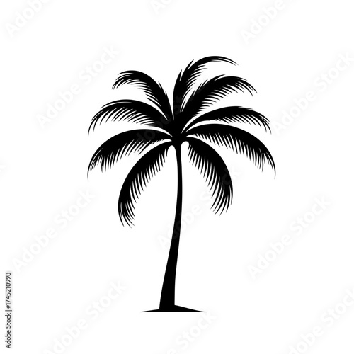 Green Tropical Palm Tree Vector Art