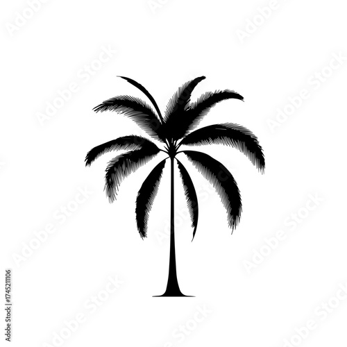 Green Palm Tree Vector Illustration