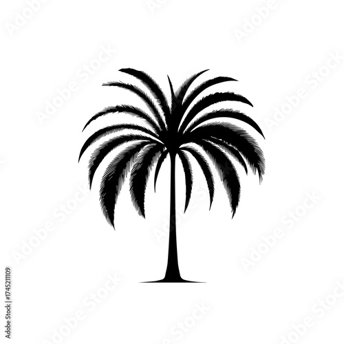Tropical Palm Tree Vector Illustration