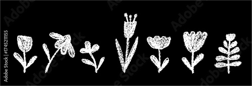 Cheerful vector flowers set featuring chamomile, harebell, and tulip with white wax crayon and squiggle charcoal outlines. Ideal for girl bedroom art, school decor, or kindergarten chalkboard patterns