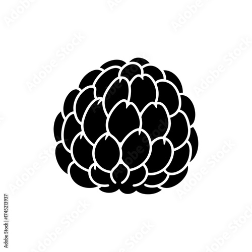 Black and white illustration of a single custard apple fruit.