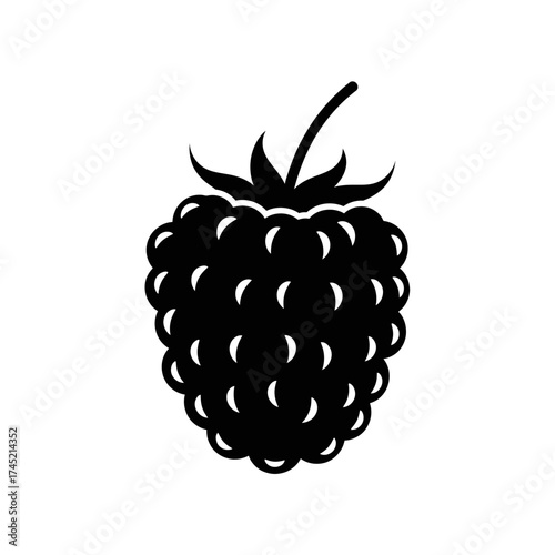 Single black raspberry fruit with stem and leaves on a white background.