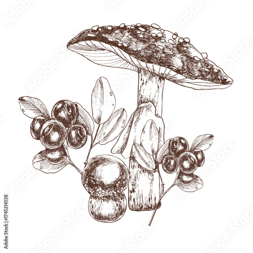 Forest inedible mushroom ink vector graphics with blueberries. Hand drawn seasonal wild clipart in outline style, engraved floral painting for autumn home textile, poster,crockery design