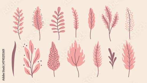 Pink Muhly Vector Set. Muhlenbergia capillaris sprig, twig, branch set. Hand drawn pastel romantic aesthetic. Creative decorative nature elements. 