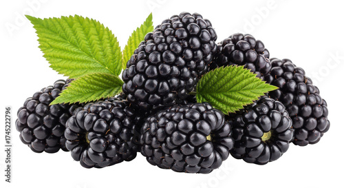 Cluster of fresh blackberries with green leaves isolated on transparent background